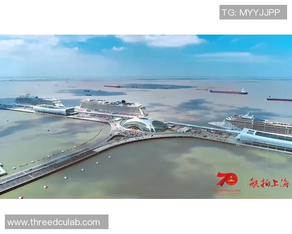 上海海港：见证城市发展与文化交融的现代港口传奇